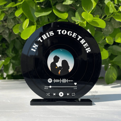 Vinyl Record Disc